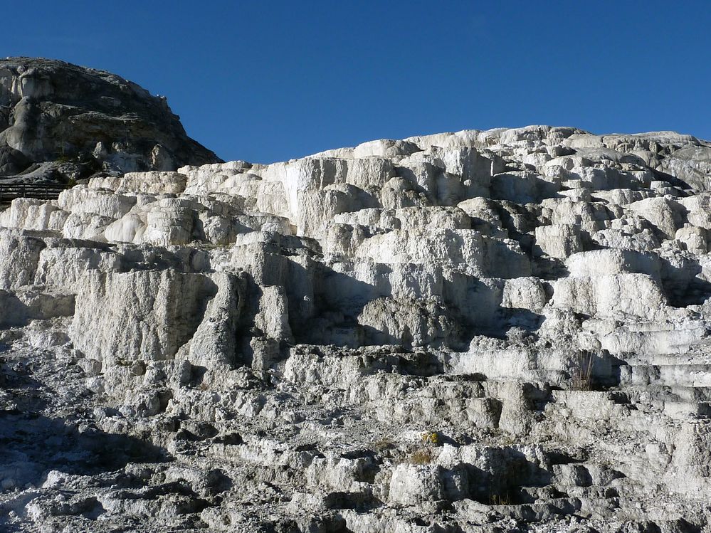 Yellowstone Mammoth Hotsprings Minerva terrace (2).JPG
